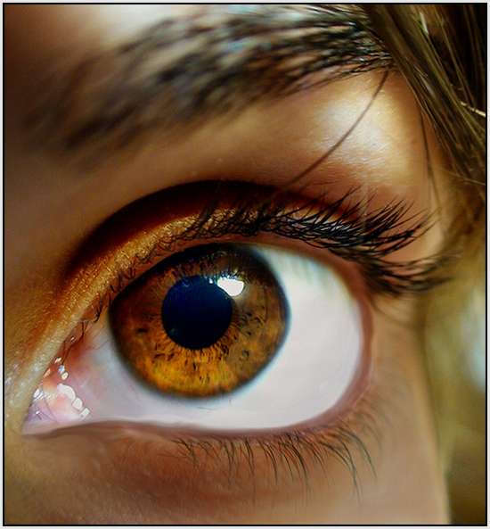 Collection-of-Fantastic-Eye-Photos-5