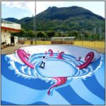 Octopus Skate Pool Art