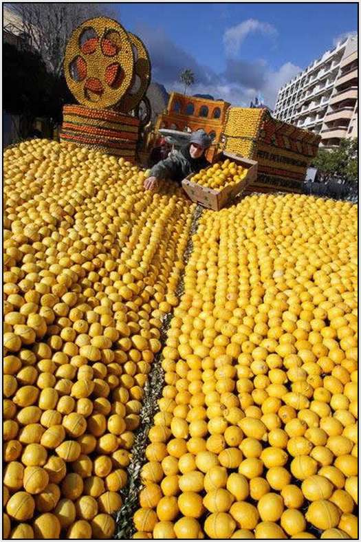 Menton-Lemon-Festival-in-France-9