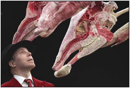 Animal-Body-Worlds-Exhibition-in-Germany-6