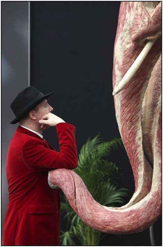 Animal-Body-Worlds-Exhibition-in-Germany-7