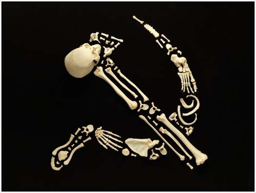 Art-Made-From-Real-Human-Bones-4