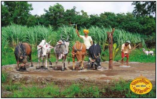 Amazing-Wax-Statues-in-Kolhapur-3