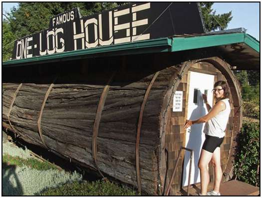 Redwood-Log-House-1