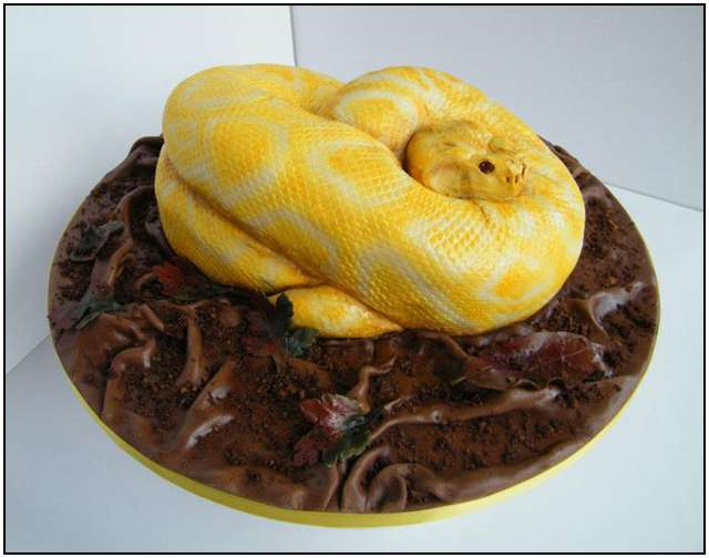 The Terrifyingly Realistic Snake Cake