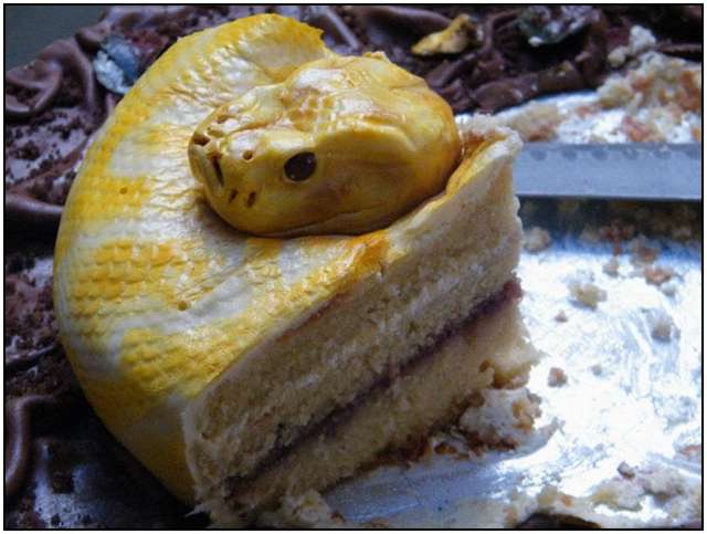 The-Terrifyingly-Realistic-Snake-Cake-3