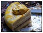 The-Terrifyingly-Realistic-Snake-Cake