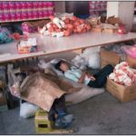 Photo Series of Chinese Toy Factory Workers